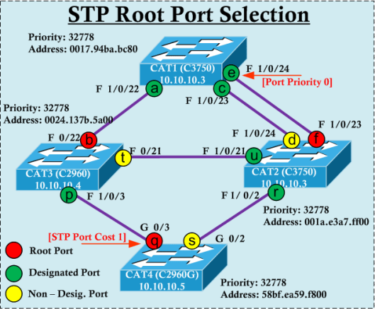 STP-Root-02